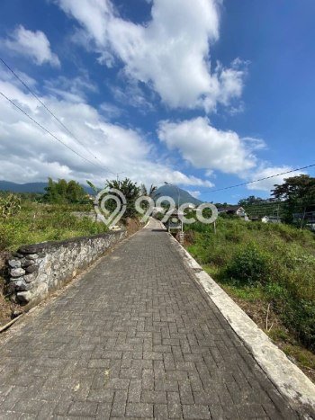 Tanah Dijual Lokasi Batu, Batu Luas 5191m2 Legalitas Aman Tanah Dijual Lokasi Batu, Batu Luas 5191m2 Legalitas Aman