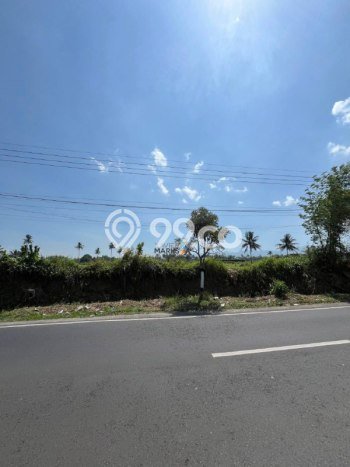 Dijual Tanah di Pakis Malang Luas 6738m2 SHM Dijual Tanah di Pakis Malang Luas 6738m2 SHM