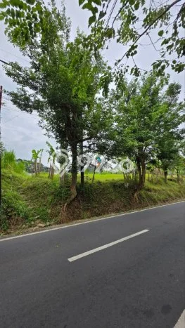 Dijual Tanah di Malang, Luas 3790m2 SHM Dijual Tanah di Malang, Luas 3790m2 SHM