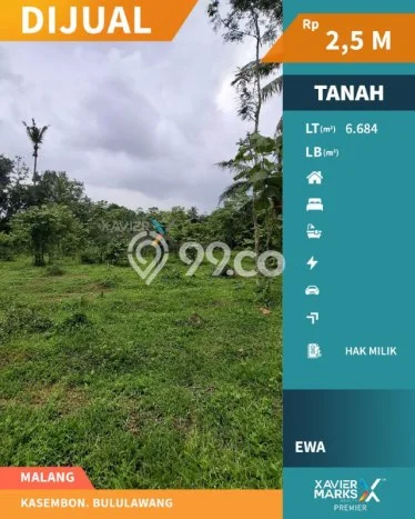 Tanah untuk Dijual Lokasi Bululawang, Malang Luas 6684m2 SHM Tanah untuk Dijual Lokasi Bululawang, Malang Luas 6684m2 SHM