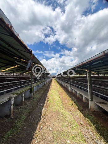 Tanah Kavling untuk Dijual di Lawang Malang 58119m2 Tanah Kavling untuk Dijual di Lawang Malang 58119m2