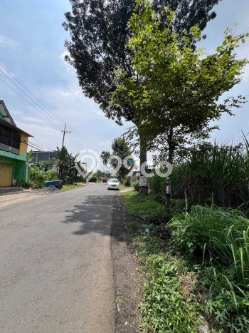Lahan Investasi Lokasi Pakis Malang SHM Lahan Investasi Lokasi Pakis Malang SHM