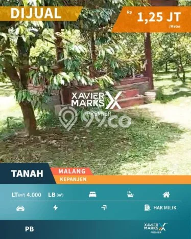 Tanah Kosong Dijual di Malang dengan Area 4000m2 Tanah Kosong Dijual di Malang dengan Area 4000m2
