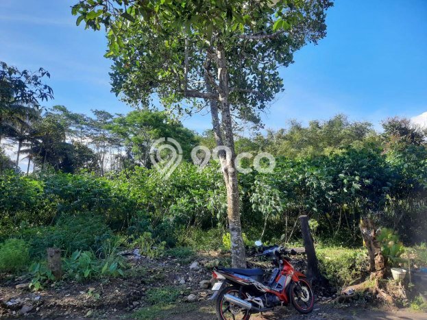 Lahan Kosong Dijual di Kedungkandang, Malang, Luas 957m2 Area Strategis Lahan Kosong Dijual di Kedungkandang, Malang, Luas 957m2 Area Strategis