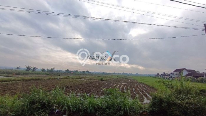 Kavling Tanah di Kedungkandang Dijual Luas 2269m2 Legalitas SHM Kavling Tanah di Kedungkandang Dijual Luas 2269m2 Legalitas SHM