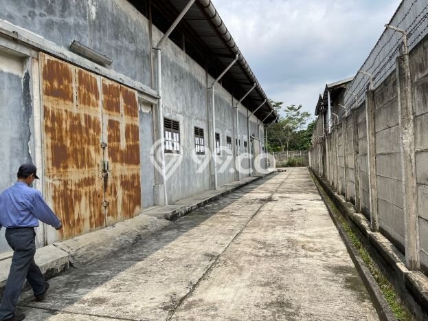 Gudang Bagus Dijual LB 2900m2 Lokasi Strategis Tangerang Area Cocok untuk Bisnis Gudang Bagus Dijual LB 2900m2 Lokasi Strategis Tangerang Area Cocok untuk Bisnis