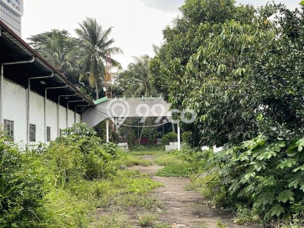 Area Ramai! Pabrik Dijual di Pinang untuk Bisnis Luas Bangunan 6300m2 Area Ramai! Pabrik Dijual di Pinang untuk Bisnis Luas Bangunan 6300m2