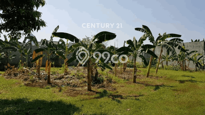 Tanah Kavling Dijual di Tangerang Selatan dengan Spesifikasi 3300m2 Tanah Kavling Dijual di Tangerang Selatan dengan Spesifikasi 3300m2