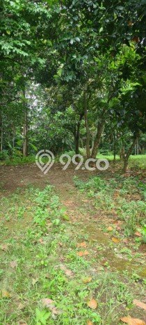 Kavling Tanah untuk Dijual di Bintaro, Tangerang Selatan, Luas 5330m2 Kavling Tanah untuk Dijual di Bintaro, Tangerang Selatan, Luas 5330m2