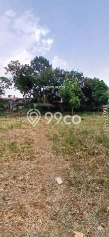 Kavling Tanah di Pesanggrahan Dijual Luas 3250m2 Legalitas SHM Kavling Tanah di Pesanggrahan Dijual Luas 3250m2 Legalitas SHM