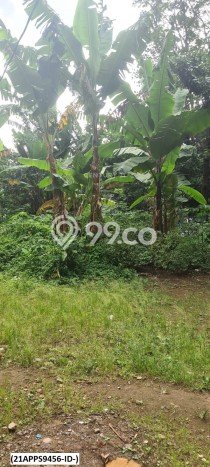 Kavling Tanah untuk Dijual di Bintaro, Tangerang Selatan, Luas 5330m2 Kavling Tanah untuk Dijual di Bintaro, Tangerang Selatan, Luas 5330m2