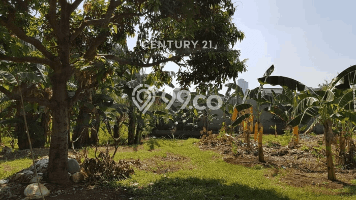 Tanah Kavling Dijual di Tangerang Selatan dengan Spesifikasi 3300m2 Tanah Kavling Dijual di Tangerang Selatan dengan Spesifikasi 3300m2