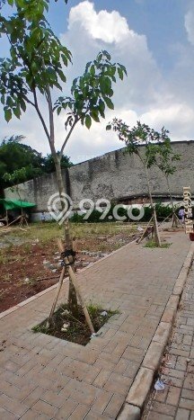 Kavling Tanah di Pesanggrahan Dijual Luas 3250m2 Legalitas SHM Kavling Tanah di Pesanggrahan Dijual Luas 3250m2 Legalitas SHM