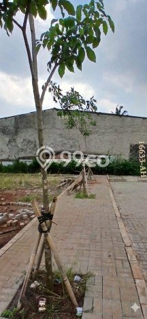 Kavling Tanah di Pesanggrahan Dijual Luas 3250m2 Legalitas SHM Kavling Tanah di Pesanggrahan Dijual Luas 3250m2 Legalitas SHM