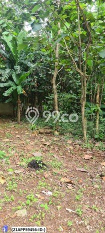 Kavling Tanah untuk Dijual di Bintaro, Tangerang Selatan, Luas 5330m2 Kavling Tanah untuk Dijual di Bintaro, Tangerang Selatan, Luas 5330m2