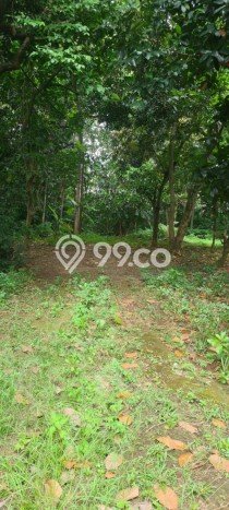 Kavling Tanah untuk Dijual di Bintaro, Tangerang Selatan, Luas 5330m2 Kavling Tanah untuk Dijual di Bintaro, Tangerang Selatan, Luas 5330m2