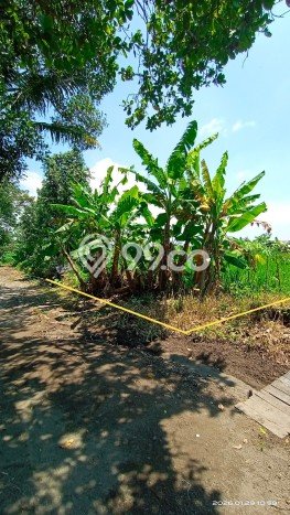 Tanah Dijual Area Strategis di Maguwoharjo Yogyakarta 556m2 Tanah Dijual Area Strategis di Maguwoharjo Yogyakarta 556m2