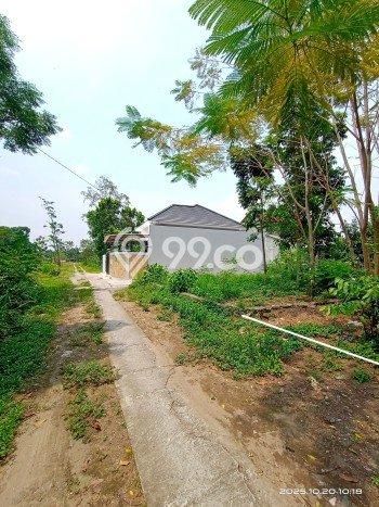 Tanah Kavling untuk Dijual di Kalasan Sleman 252m2 Tanah Kavling untuk Dijual di Kalasan Sleman 252m2