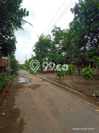 Tanah Area Prospektif Kawasan Kalasan, Luas 146m2m², Akses ke Fasilitas Umum, Akses Kalasan, Sleman, Sleman Tanah Area Prospektif Kawasan Kalasan, Luas 146m2m², Akses ke Fasilitas Umum, Akses Kalasan, Sleman, Sleman