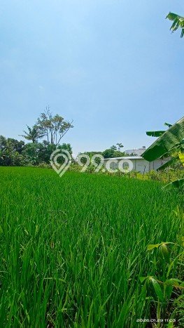 Tanah Dijual Area Strategis di Maguwoharjo Yogyakarta 556m2 Tanah Dijual Area Strategis di Maguwoharjo Yogyakarta 556m2
