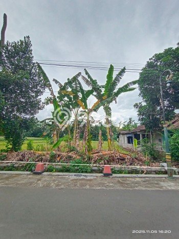 AREA PROSPEKTIF! Tanah di Kalasan, Luas 429m2m², Dekat Transportasi, Kawasan Berkembang AREA PROSPEKTIF! Tanah di Kalasan, Luas 429m2m², Dekat Transportasi, Kawasan Berkembang