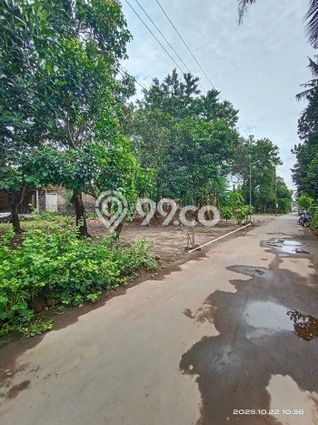 Tanah Area Prospektif Kawasan Kalasan, Luas 146m2m², Akses ke Fasilitas Umum, Akses Kalasan, Sleman, Sleman Tanah Area Prospektif Kawasan Kalasan, Luas 146m2m², Akses ke Fasilitas Umum, Akses Kalasan, Sleman, Sleman