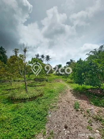 Kavling Tanah di Sleman Dijual Luas 2800m2 Legalitas SHM Kavling Tanah di Sleman Dijual Luas 2800m2 Legalitas SHM