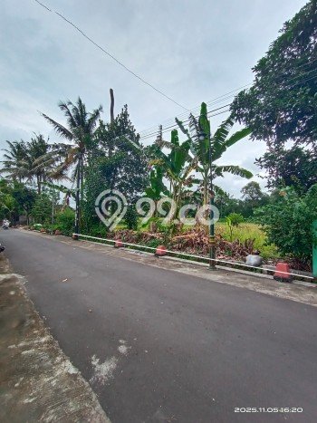 AREA PROSPEKTIF! Tanah di Kalasan, Luas 429m2m², Dekat Transportasi, Kawasan Berkembang AREA PROSPEKTIF! Tanah di Kalasan, Luas 429m2m², Dekat Transportasi, Kawasan Berkembang