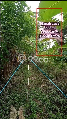 Lahan untuk Dijual di Mlati Sleman Luas 583m2 Lahan untuk Dijual di Mlati Sleman Luas 583m2