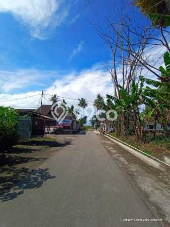 Tanah di Kalasan, Sleman Luas 563m2 Dijual Segera Tanah di Kalasan, Sleman Luas 563m2 Dijual Segera
