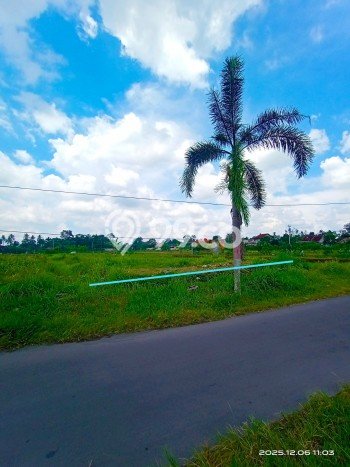 Tanah Strategis Dijual di Ngemplak Sleman 774m2 Tanah Strategis Dijual di Ngemplak Sleman 774m2