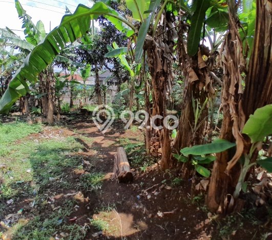 Lahan Kosong Dijual di Majalengka dengan Area 910m2 Lahan Kosong Dijual di Majalengka dengan Area 910m2