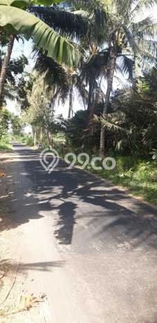 Tanah untuk Dijual Lokasi Ngaglik, Sleman Luas 1227m2 - Tanah untuk Dijual Lokasi Ngaglik, Sleman Luas 1227m2 -