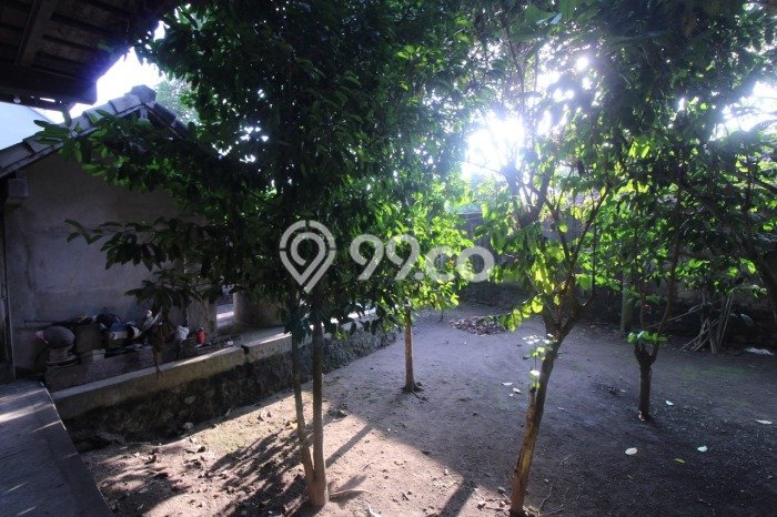 Rumah Asri LB 200m2m² Lokasi Sejuk di Gamping, Sleman Rumah Asri LB 200m2m² Lokasi Sejuk di Gamping, Sleman