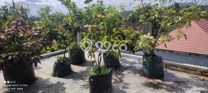 For Sale Rumah 6 Kamar Lokasi Strategis Bagus dan Strategis di Sleman For Sale Rumah 6 Kamar Lokasi Strategis Bagus dan Strategis di Sleman