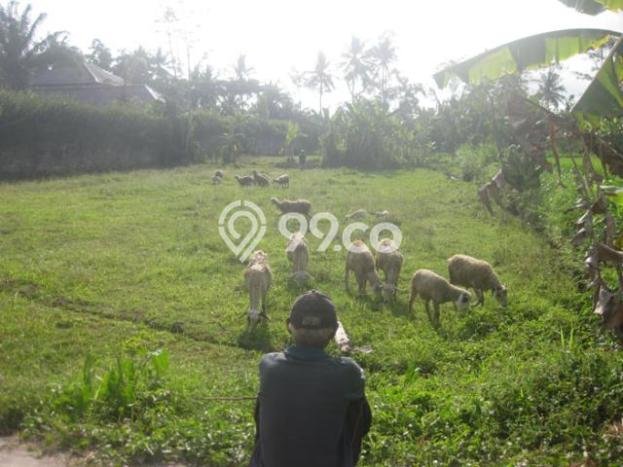 Rumah 4 KT area Pakem, Dekat Pakem, Sleman, Sleman Rumah 4 KT area Pakem, Dekat Pakem, Sleman, Sleman