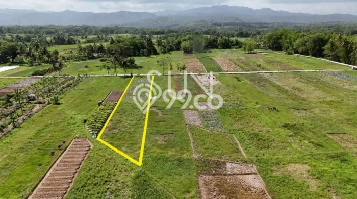 Tanah Dijual Lokasi Sleman, Sleman Luas 1140m2 Legalitas Aman Tanah Dijual Lokasi Sleman, Sleman Luas 1140m2 Legalitas Aman