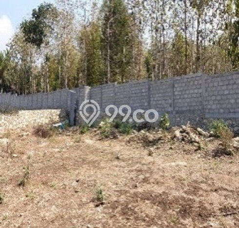 Tanah Kavling untuk Dijual di Sentolo Kulon Progo 9076m2 Tanah Kavling untuk Dijual di Sentolo Kulon Progo 9076m2