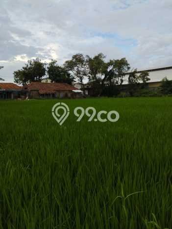 HARGA MENARIK! Tanah Kawasan Gresik Kota, Luas 5030m2m², Lokasi Potensial HARGA MENARIK! Tanah Kawasan Gresik Kota, Luas 5030m2m², Lokasi Potensial