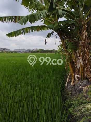 HARGA MENARIK! Tanah Kawasan Gresik Kota, Luas 5030m2m², Lokasi Potensial HARGA MENARIK! Tanah Kawasan Gresik Kota, Luas 5030m2m², Lokasi Potensial