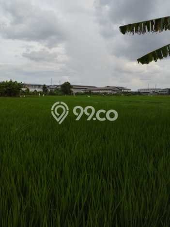 HARGA MENARIK! Tanah Kawasan Gresik Kota, Luas 5030m2m², Lokasi Potensial HARGA MENARIK! Tanah Kawasan Gresik Kota, Luas 5030m2m², Lokasi Potensial
