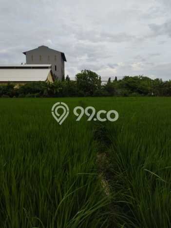 HARGA MENARIK! Tanah Kawasan Gresik Kota, Luas 5030m2m², Lokasi Potensial HARGA MENARIK! Tanah Kawasan Gresik Kota, Luas 5030m2m², Lokasi Potensial