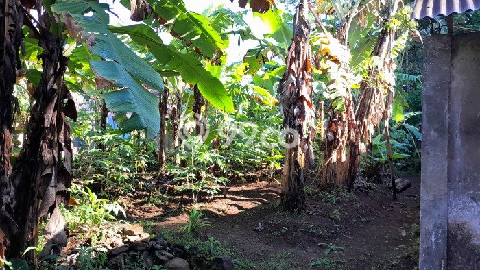 Lahan Kosong Dijual di Majalengka dengan Area 910m2 Lahan Kosong Dijual di Majalengka dengan Area 910m2