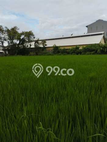 HARGA MENARIK! Tanah Kawasan Gresik Kota, Luas 5030m2m², Lokasi Potensial HARGA MENARIK! Tanah Kawasan Gresik Kota, Luas 5030m2m², Lokasi Potensial