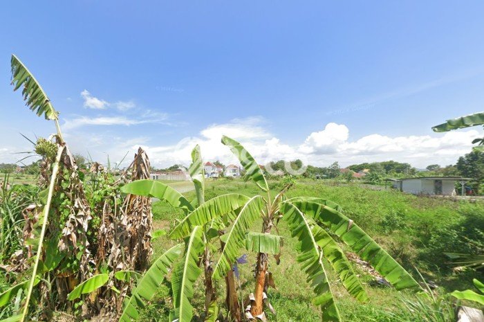 Tanah Dijual di Yogyakarta Seluas 2447m2 Strategis Tanah Dijual di Yogyakarta Seluas 2447m2 Strategis