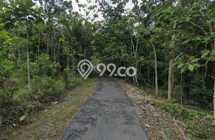Tanah Dijual Lokasi Nglipar, Gunung Kidul Luas 1259m2 Legalitas Aman Tanah Dijual Lokasi Nglipar, Gunung Kidul Luas 1259m2 Legalitas Aman
