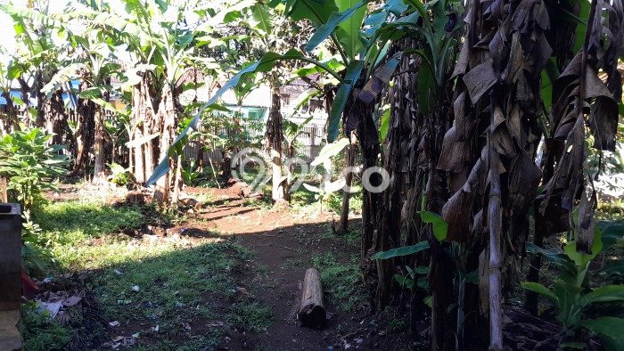 Lahan Kosong Dijual di Majalengka dengan Area 910m2 Lahan Kosong Dijual di Majalengka dengan Area 910m2