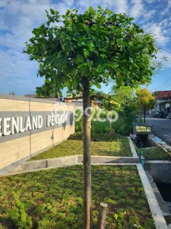 Rumah Terawat di Jogonalan, Klaten, LT 70m2m², LB 30m2m² Rumah Terawat di Jogonalan, Klaten, LT 70m2m², LB 30m2m²