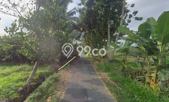 Tanah untuk Dijual Lokasi Ngaglik, Sleman Luas 1227m2 - Tanah untuk Dijual Lokasi Ngaglik, Sleman Luas 1227m2 -