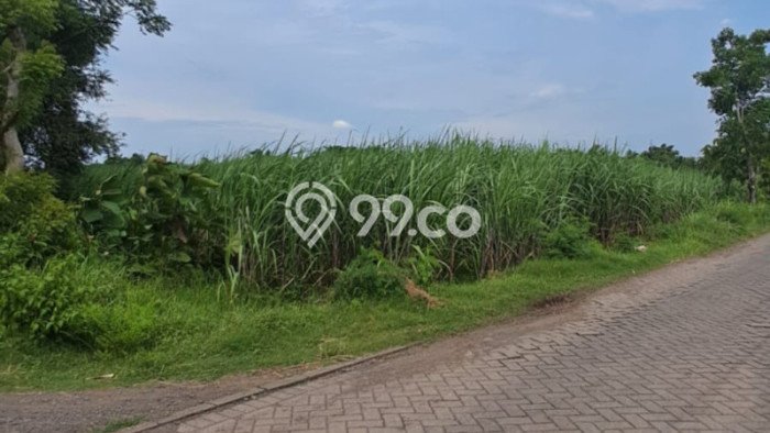 Kavling Tanah di Rembang Dijual Luas 100000m2 Legalitas SHM Kavling Tanah di Rembang Dijual Luas 100000m2 Legalitas SHM